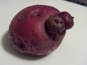 2012-10-15_19-24-34_388